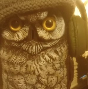 Meet your Posher, Craig